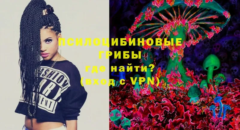 Псилоцибиновые грибы Magic Shrooms  blacksprut   Гусев 